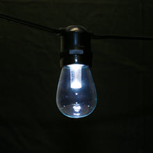 Load image into Gallery viewer, Led Glass Premium Bulbs 08W Medium Base (E27) 5 Smd Leds Dimmable